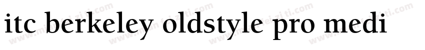 itc berkeley oldstyle pro medium字体转换